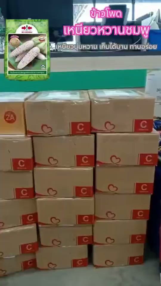 เหนียวหวานชมพู ยอดขายสุดปัง